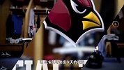 NFL-1415赛季-常规赛-第2周-亚利桑那红雀25：14纽约巨人-精华