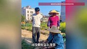 老人在菜地挖到“人手山药”，当场被吓了一跳，老人女婿：有人出价8000元购买被拒