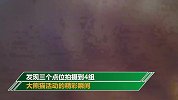 时隔四年又见“熊出没” 四川千佛山3点位拍到大熊猫活动瞬间