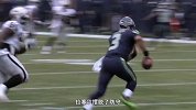 NFL-1415赛季-季后赛-半决赛-卡罗莱纳黑豹vs西雅图海鹰前瞻-专题