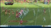 NFL-1314赛季-常规赛-第10周-旧金山49人9：10卡罗莱纳黑豹-精华