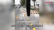 浙江一人行道及盲道被铁栏杆封堵，网友怒批“无路可走”