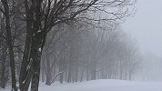 河北迎大降温+雨+小雪！4地入冬了！