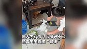 临近开学，作业被狗撕了！小孩哥崩溃痛哭狂揍狗，家长：再做一套