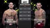 UFC on ESPN第23期：斯特里克兰VS克日什托夫-乔科