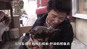 小姐姐捡回一只流浪猫，几天后发现猫咪患了脑瘫，结局太感人