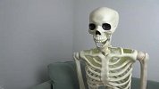 主人趁狗子睡觉，用骷髅吓唬汪星人，一定忍住别笑