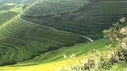 【梯田行摄】线条形如流水的龙胜梯田