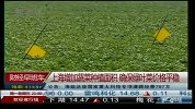 上海增加蔬菜种植面积 确保绿叶菜价格平稳