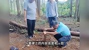 海南村民开荒发现山东烈士墓碑，只有墓碑没坟头突起，官方回应