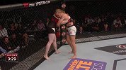 UFC-16年-UFC ON FOX 20自由格斗：舍甫琴科vs考夫曼-专题
