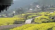 旅游-建德油菜花