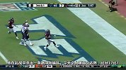 NFL-1314赛季-常规赛-第十三周-爱国者VS德州人集锦2-集锦