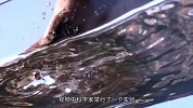 把狗狗喝水放慢50倍，才发现原来我们的认知，一直是错的！