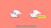 纸尿裤吸水性测评：国内外热销品牌哪家强？