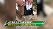 猫咪被主人遗弃在公园 留有一张字条和50元现金