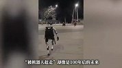 中国人形机器人在波兰街头驱赶野猪，“劝退”成功后挥手拜拜