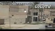 美军在伊炸小狗取乐