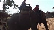 旅游-清迈.大象是这样骑的