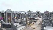 上海守墓三兄弟自建私卖墓穴约920座 牟利870万元获刑