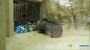 搞笑-20120322-囧！你这一摇可到好把孩子们都带起劲儿了！