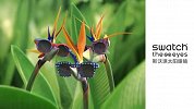 Swatch The Eyes 太阳眼镜2016最新发布：终极百变造型利器！30s创意广告片