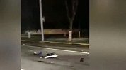 小车中学门口连撞多车 母亲接孩子被撞身亡：正准备回家过年