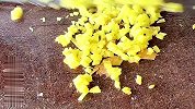 鲫鱼是煮豆腐鱼汤？还是凉拌鲫鱼是夏天的首选？鲜嫩入味无腥味