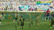 2014世界杯澳大利亚队合集