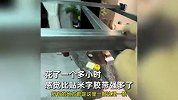 15楼男子买方钢玻璃吸盘，组装一起防台风：感觉比贴米字胶带强
