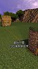 我的世界：教你如何在Minecraft里，捕捉1只史蒂夫