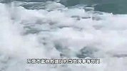 山东一男子出海失踪49天后遗体被发现，妻子跪谢救援队