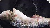 过年的餐桌上怎么能少得了红烧鱼呢，大厨教你简单做法，太香了