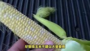 为什么不建议食用糯玉米？解读其营养价值与适宜食用方式