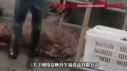 网红“鹿哈”带货的“贡菜千层肚”，被曝生产环境令人作呕，平台已售近3000万单