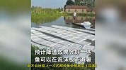 鱼塘主给鱼塘加冰块倒藿香正气水，铺泡沫板降温：再拉一车冰块！