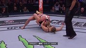 UFC-16年-UFC196自由格斗：霍尔姆vs隆达罗西-专题