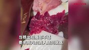 女子小龙坎火锅肉片里吃出活蛆，当晚腹部不适