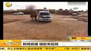 新闻记者记录的尴尬瞬间