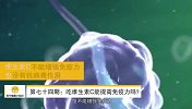 苏宁健康小知识第074期：吃维生素C能提高免疫力吗？