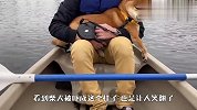 柴犬第一次陪主人划船，主人：你这样我怎么划？场面太搞笑了