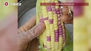 女子分享自制“玉米馒头”，能剥皮，玉米颗粒分明……