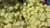 葡萄有没有打激素，看三个地方就对了，看完再也不怕买到激素葡萄