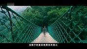 旅游-《悦享低碳－心归百山》庆元县百山祖景区旅游形象片最终版