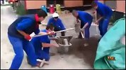 搞笑短片：俄罗斯奇志儿女