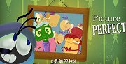 第27集《最美照片》
