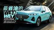 实测百公里5.6L WEY最省油车型来了！| 反套路试车