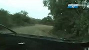 WRC2012赛季(第5站)阿根廷站