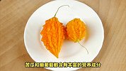 苦瓜熟透了就是癞葡萄？别再傻傻分不清！