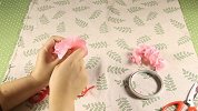 1蔷薇花